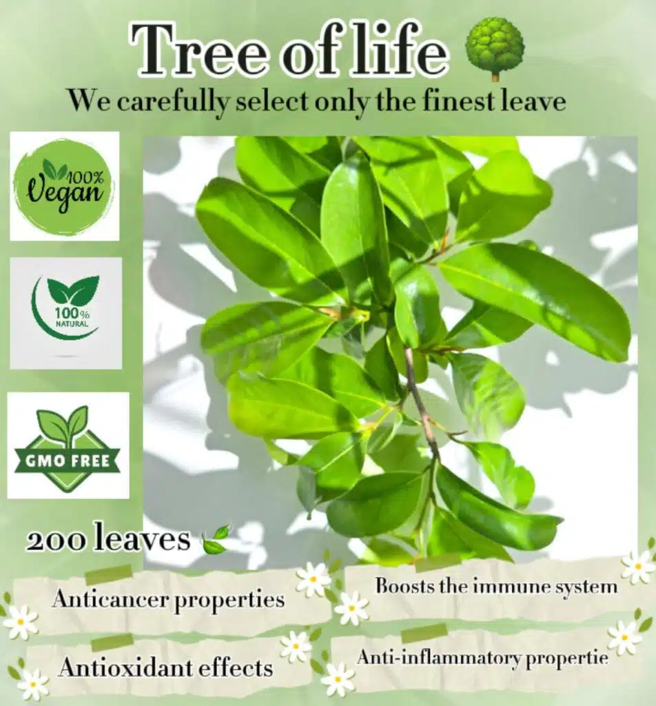 SOURSOP LEAVES