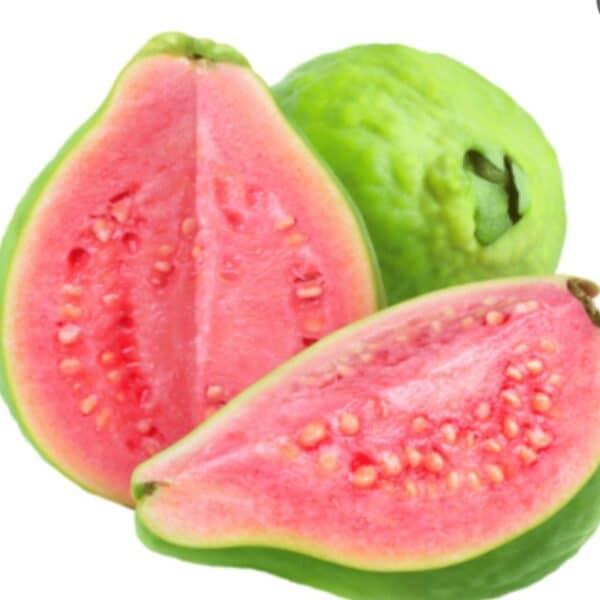 guava fruit