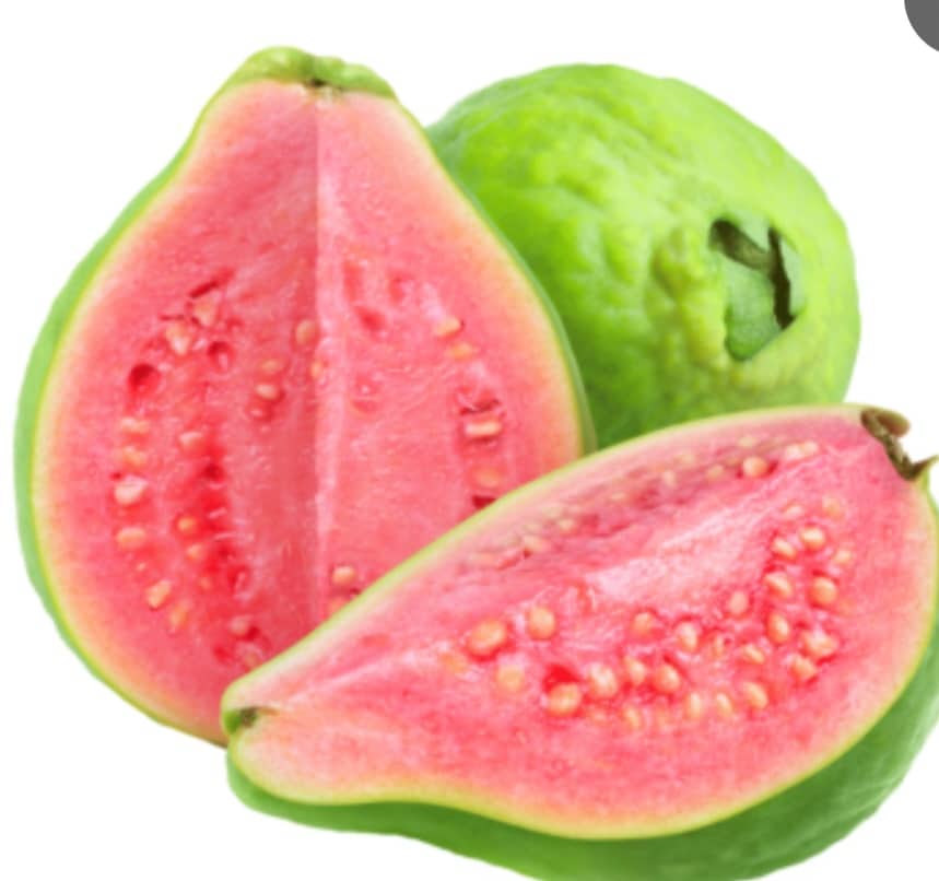 Arbol de vida Tropical