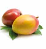 GRAFTED MANGO, Mangifera
